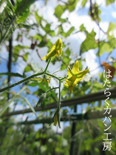 IMG_1991@@.jpg